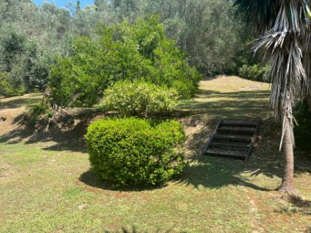 Relaxing Corfu stay in nature close to Gouvia Marina