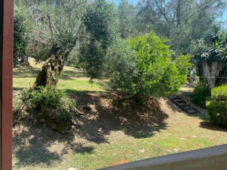 Relaxing Corfu stay in nature close to Gouvia Marina