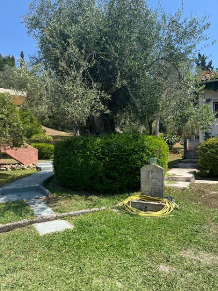 Relaxing Corfu stay in nature close to Gouvia Marina