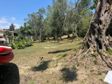 Relaxing Corfu stay in nature close to Gouvia Marina