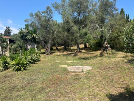 Relaxing Corfu stay in nature close to Gouvia Marina