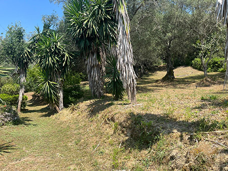 Relaxing Corfu stay in nature close to Gouvia Marina