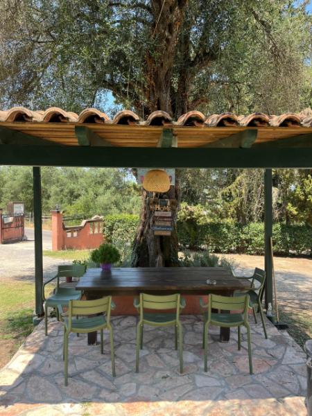 Relaxing Corfu stay in nature close to Gouvia Marina