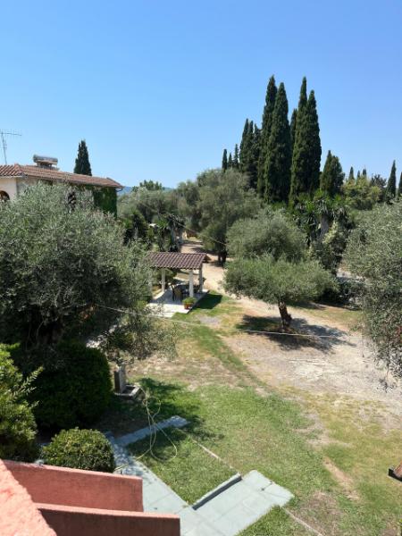 Relaxing Corfu stay in nature close to Gouvia Marina