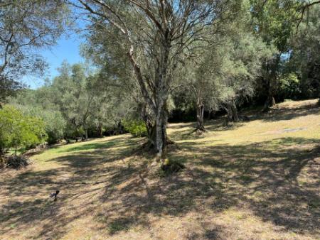 Relaxing Corfu stay in nature close to Gouvia Marina