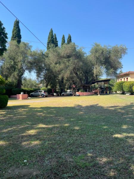 Relaxing Corfu stay in nature close to Gouvia Marina