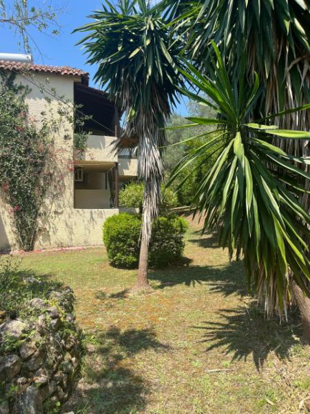 Relaxing Corfu stay in nature close to Gouvia Marina